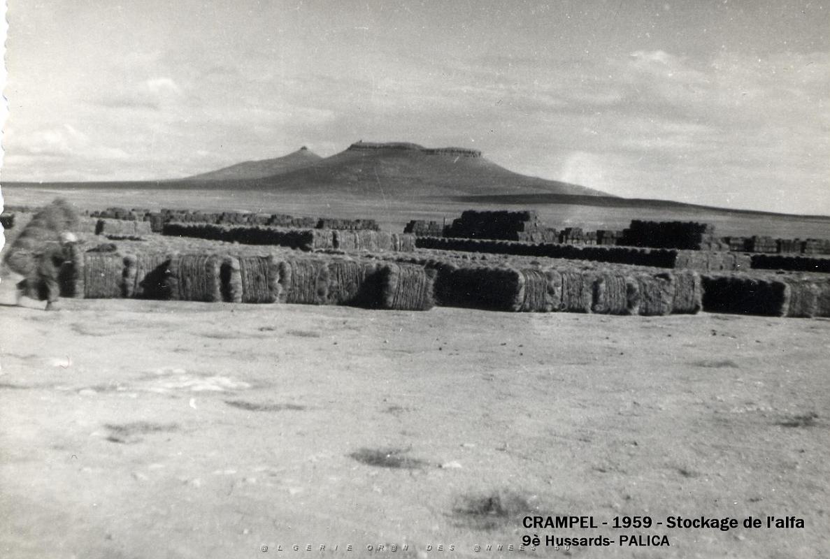 Palica - Crampel 006.jpg